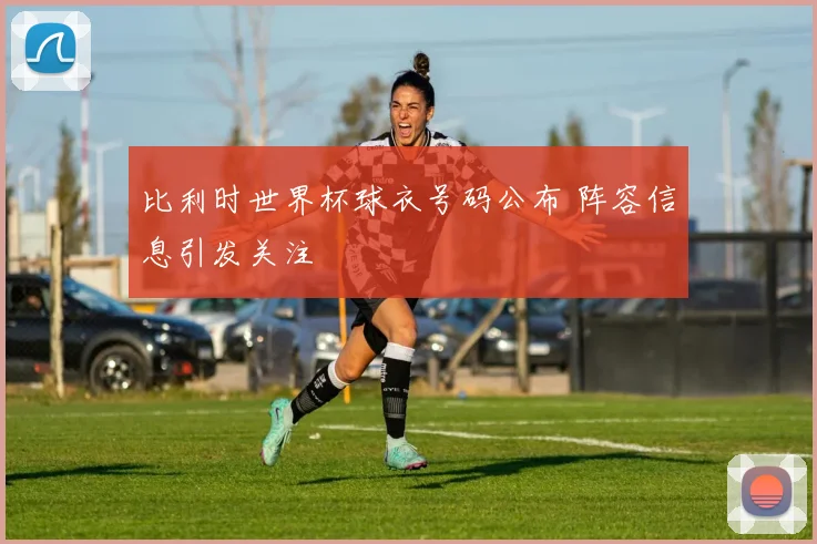 比利时世界杯球衣号码公布 阵容信息引发关注